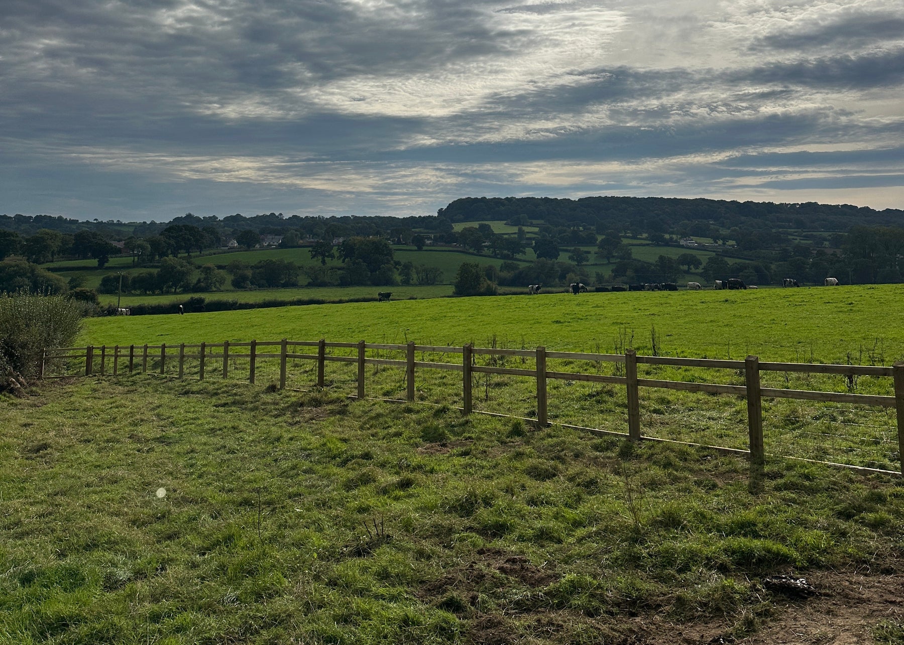 Fencing as part of a wider garden project by JJN Construction in Somerset